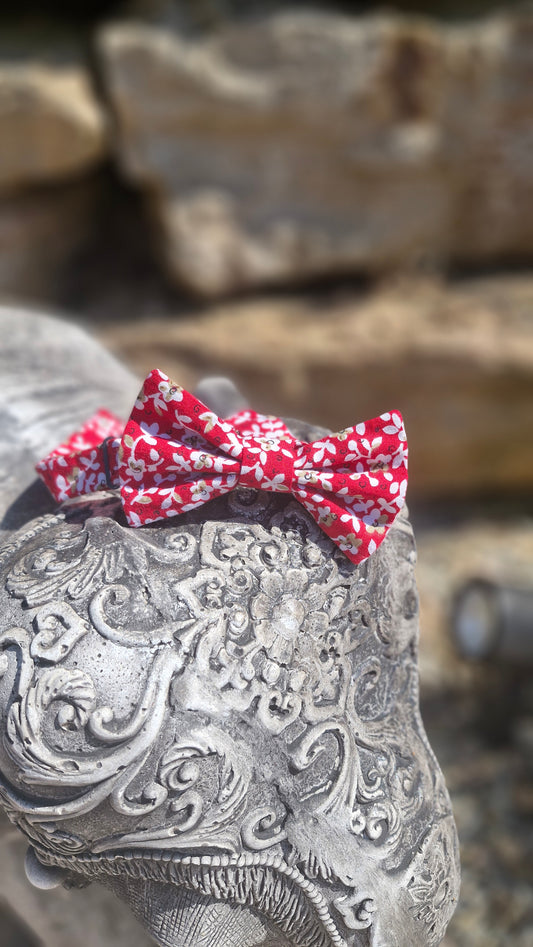 * Nœud Papillon et Pochette rouge fleuri