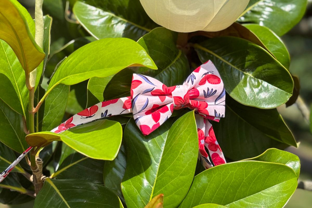 * Ensemble Nœud Papillon et Pochette Red Flowers