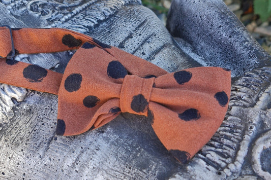 noeud papillon marron et noir